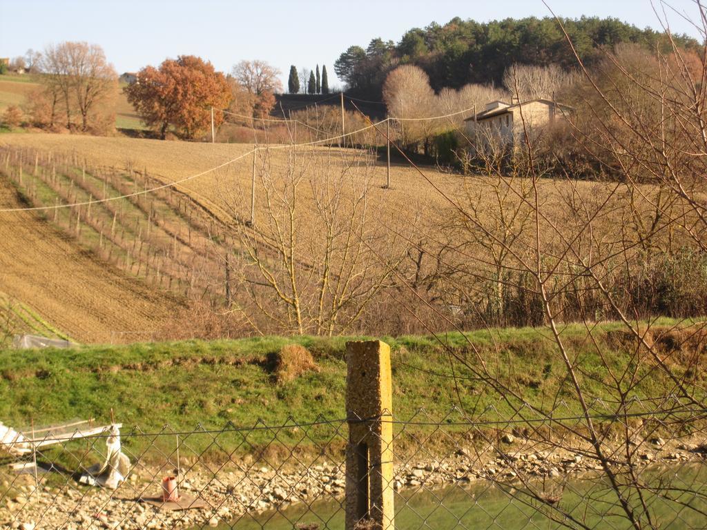 La Pietra Rara B&B Montone  Exterior foto