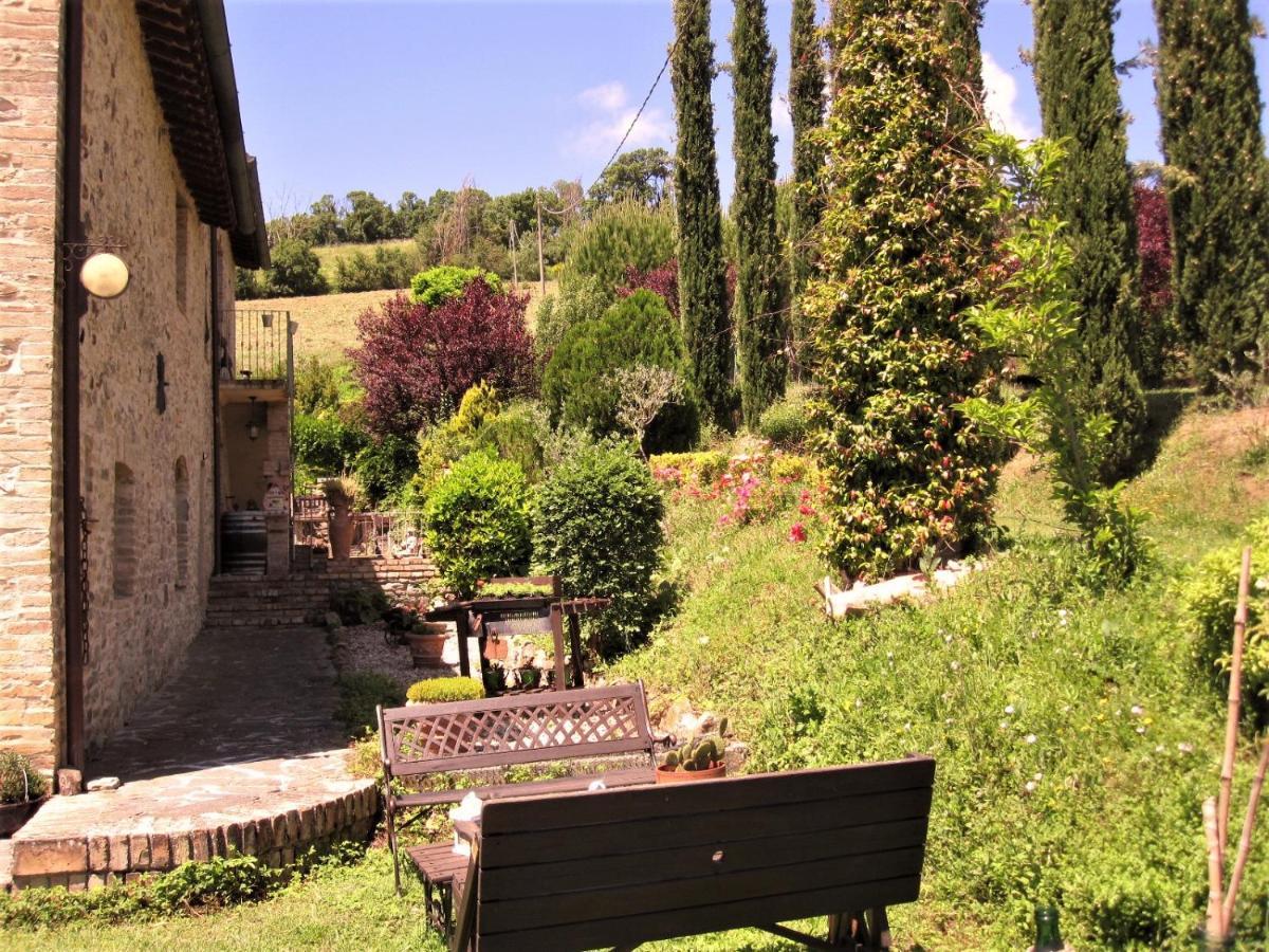 La Pietra Rara B&B Montone  Exterior foto