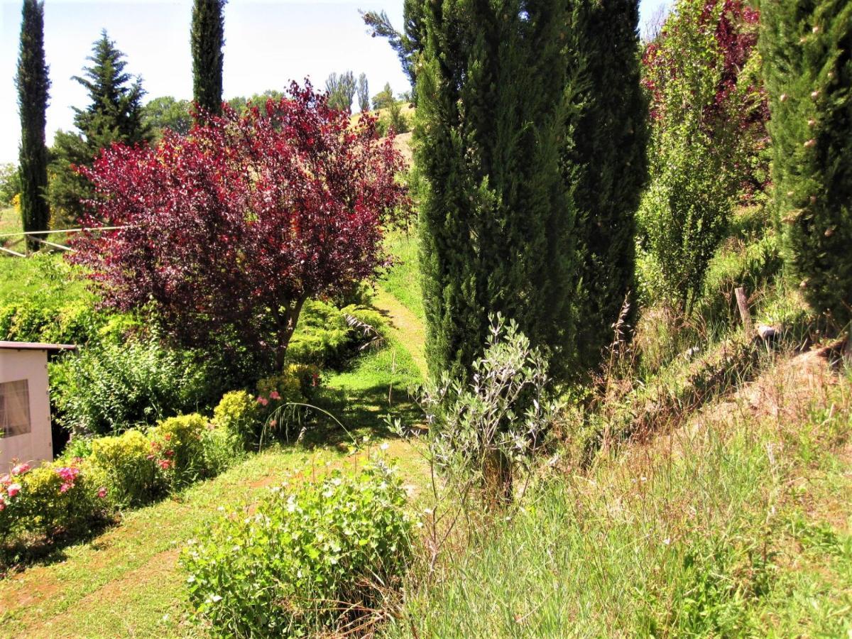 La Pietra Rara B&B Montone  Exterior foto