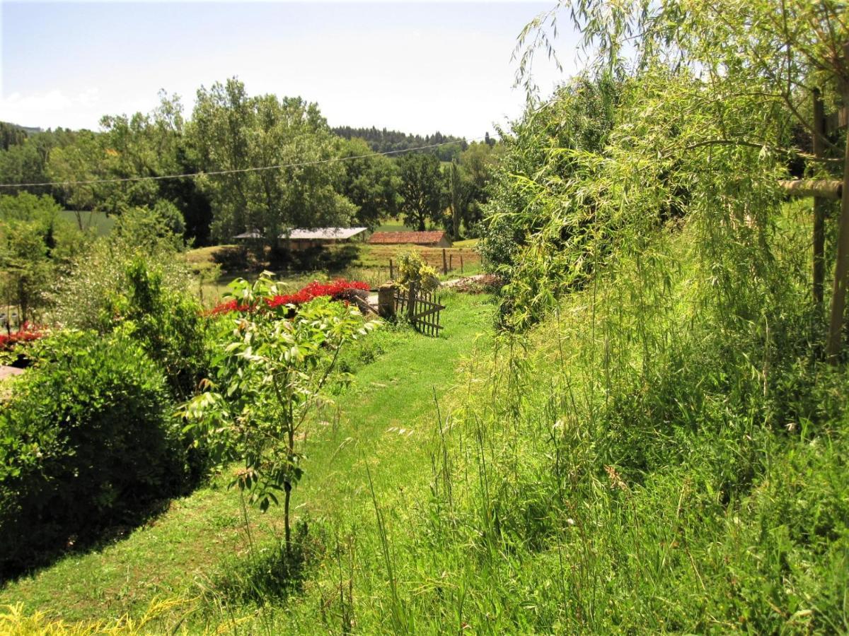La Pietra Rara B&B Montone  Exterior foto