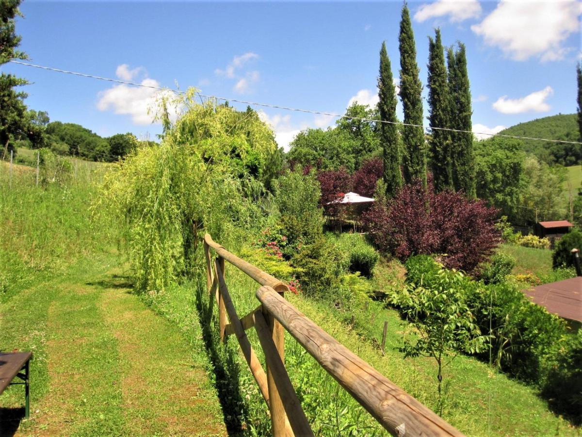 La Pietra Rara B&B Montone  Exterior foto