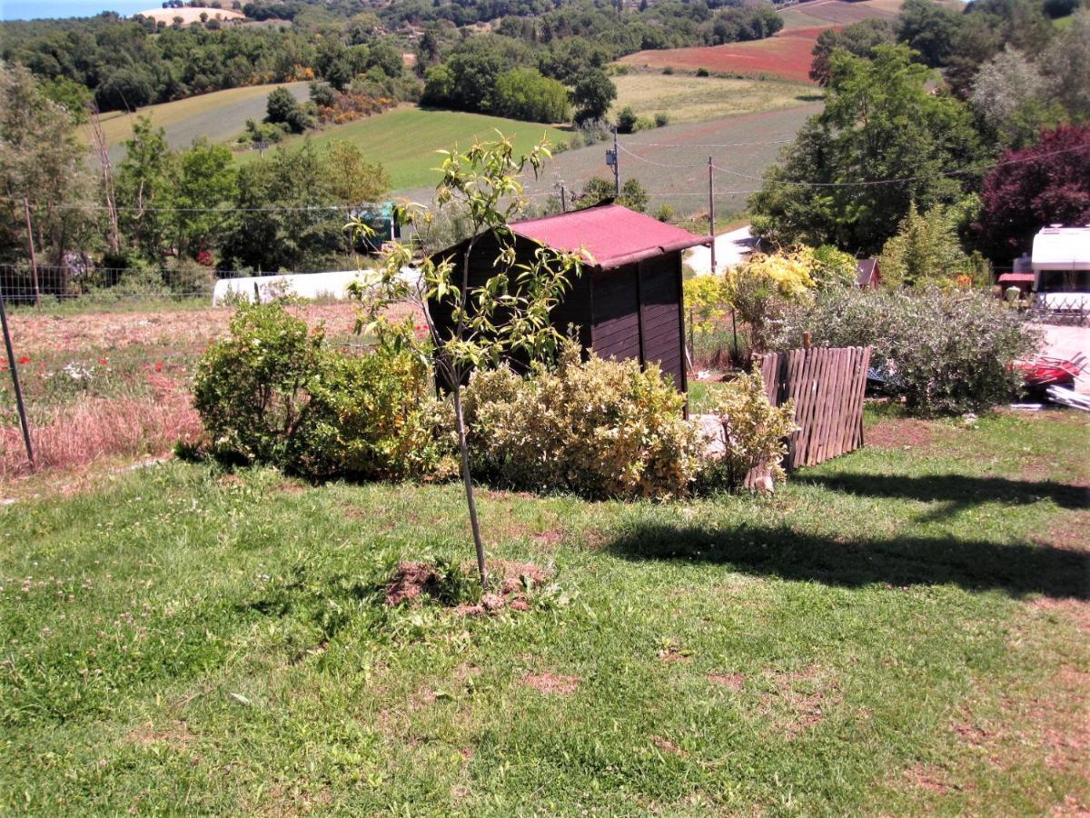 La Pietra Rara B&B Montone  Exterior foto