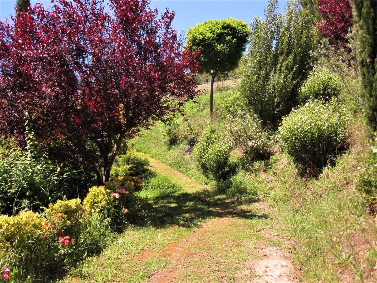 La Pietra Rara B&B Montone  Exterior foto