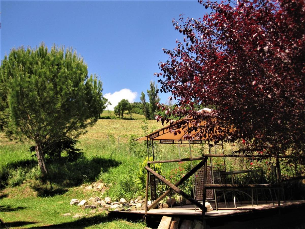La Pietra Rara B&B Montone  Exterior foto