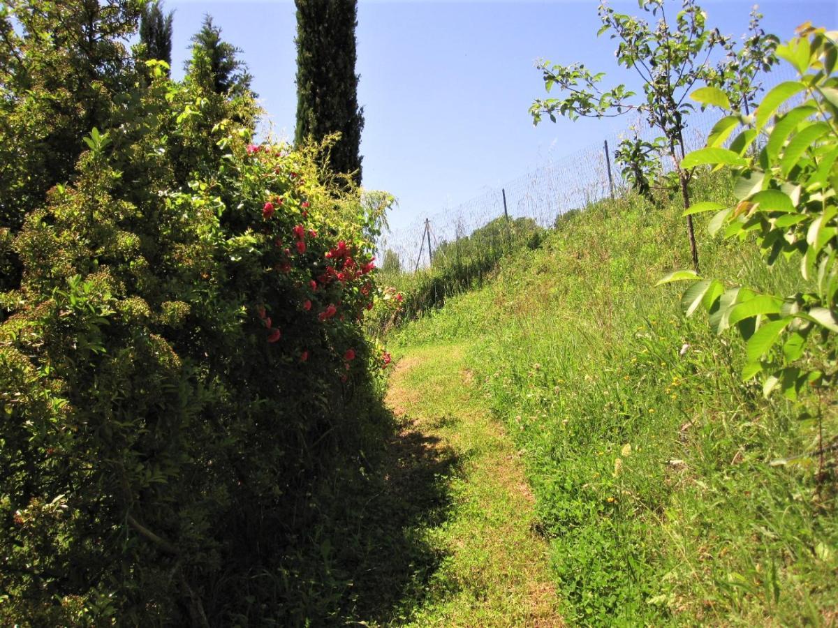 La Pietra Rara B&B Montone  Exterior foto